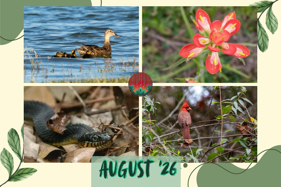 August Photo Print