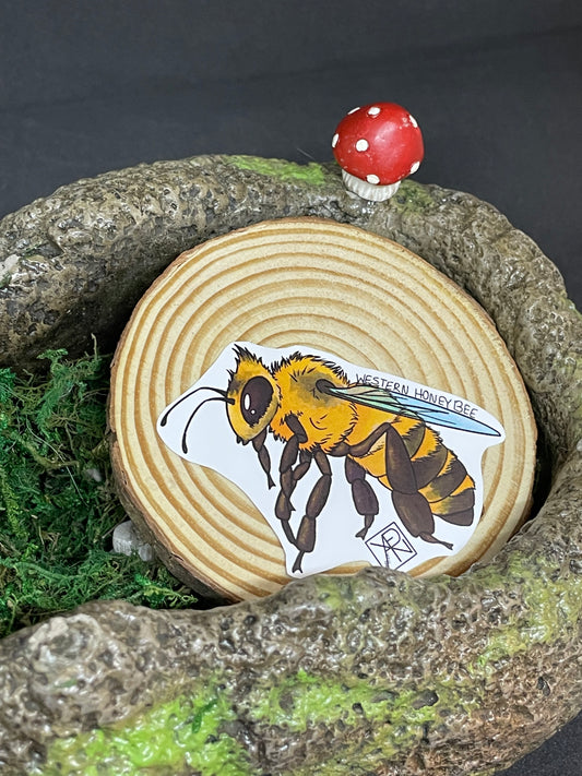 Western Honey Bee Stickers