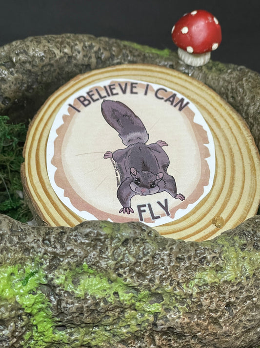 Southern Flying Squirrel Stickers