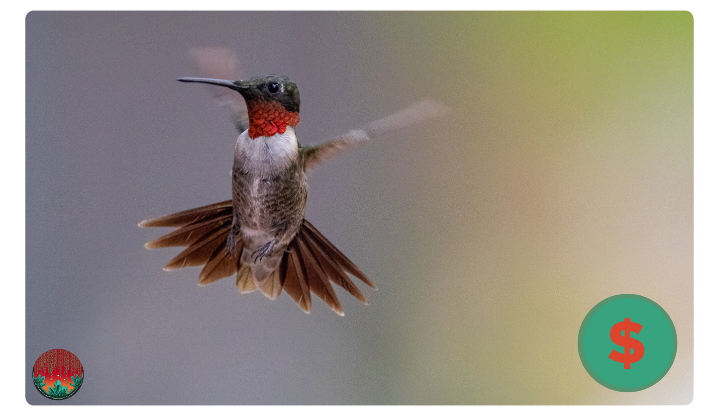 Ruby-throated Hummingbird Gift Card