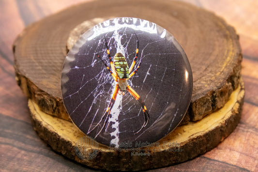 Wildlife Photography Buttons