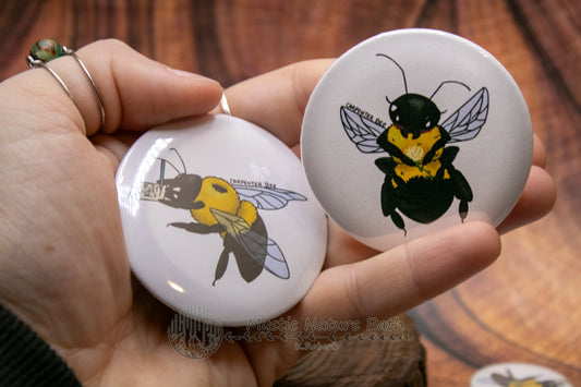 Eastern Carpenter Bee Buttons
