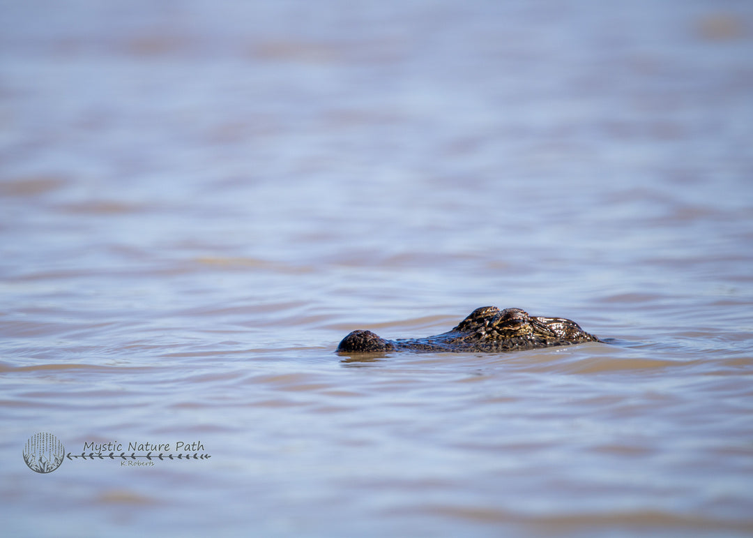 See ya later, or maybe after awhile?…