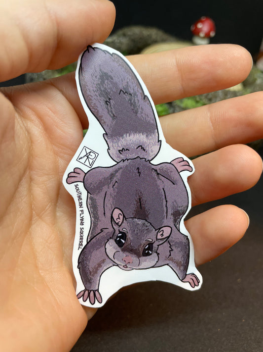 Southern Flying Squirrel Stickers