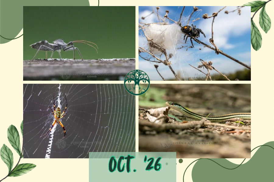 October Photo Print