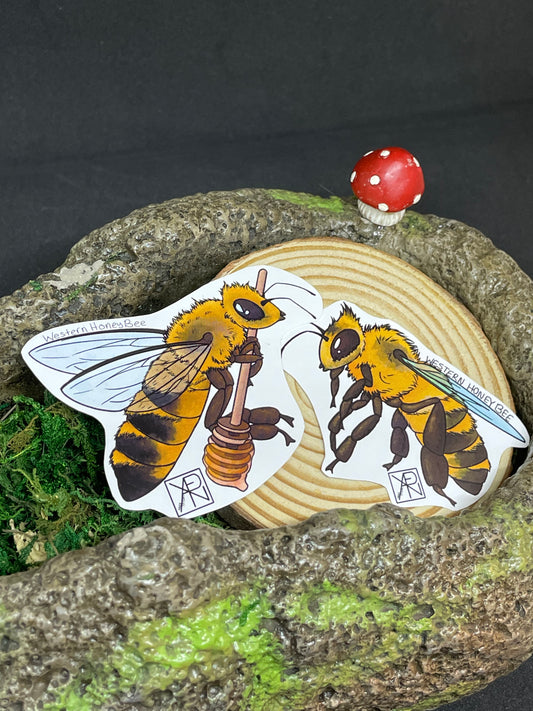 Western Honey Bee Stickers