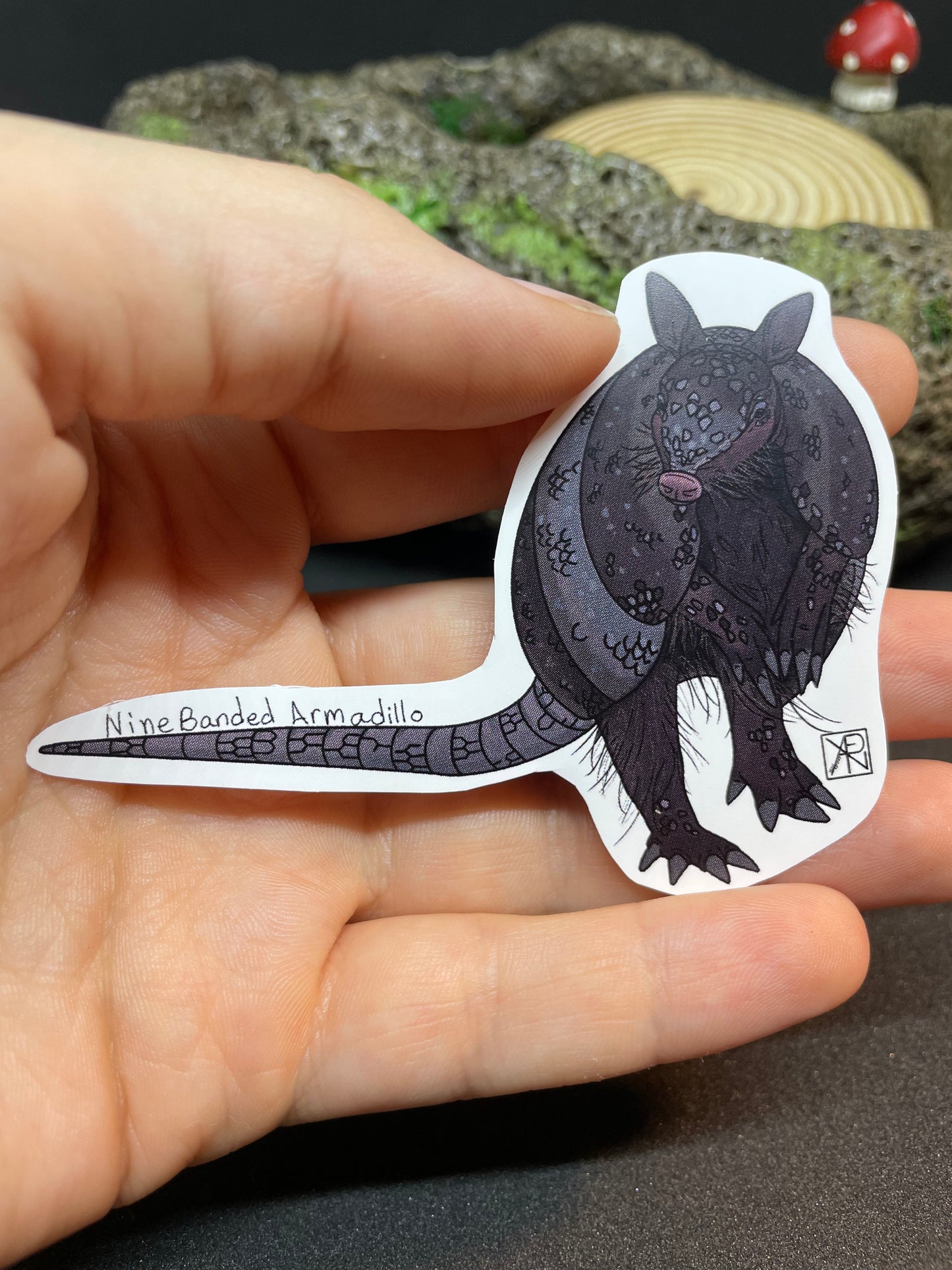 Nine-banded Armadillo Sticker