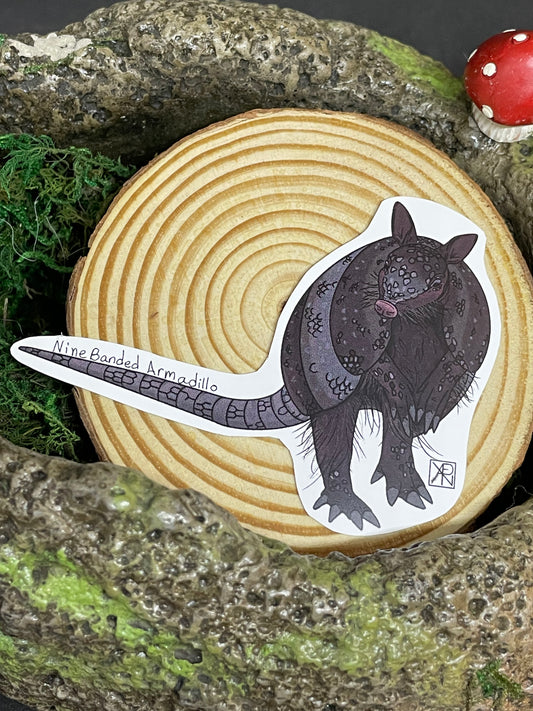 Nine-banded Armadillo Sticker