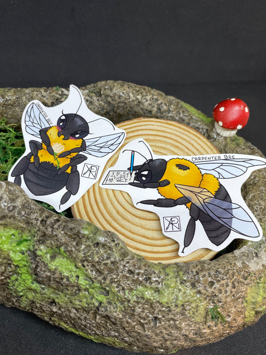 Eastern Carpenter Bee Stickers