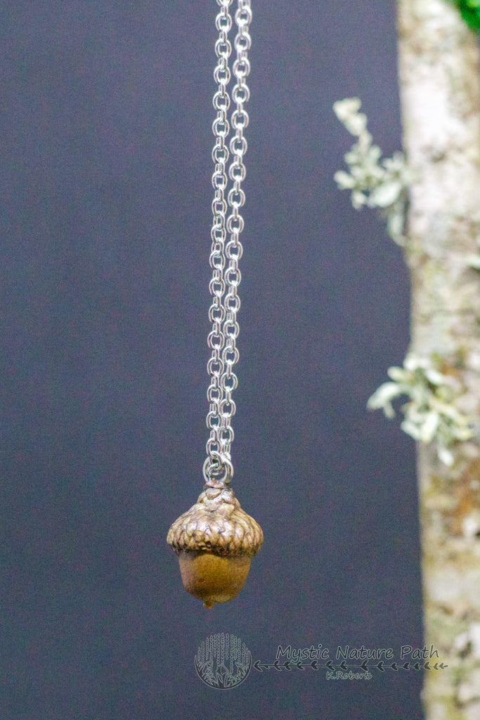 Real Acorn Pendant Necklace