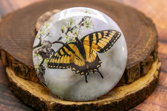 Wildlife Photography Buttons