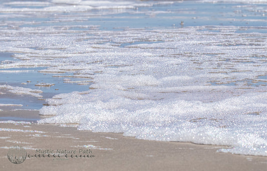 Beach Bubbles